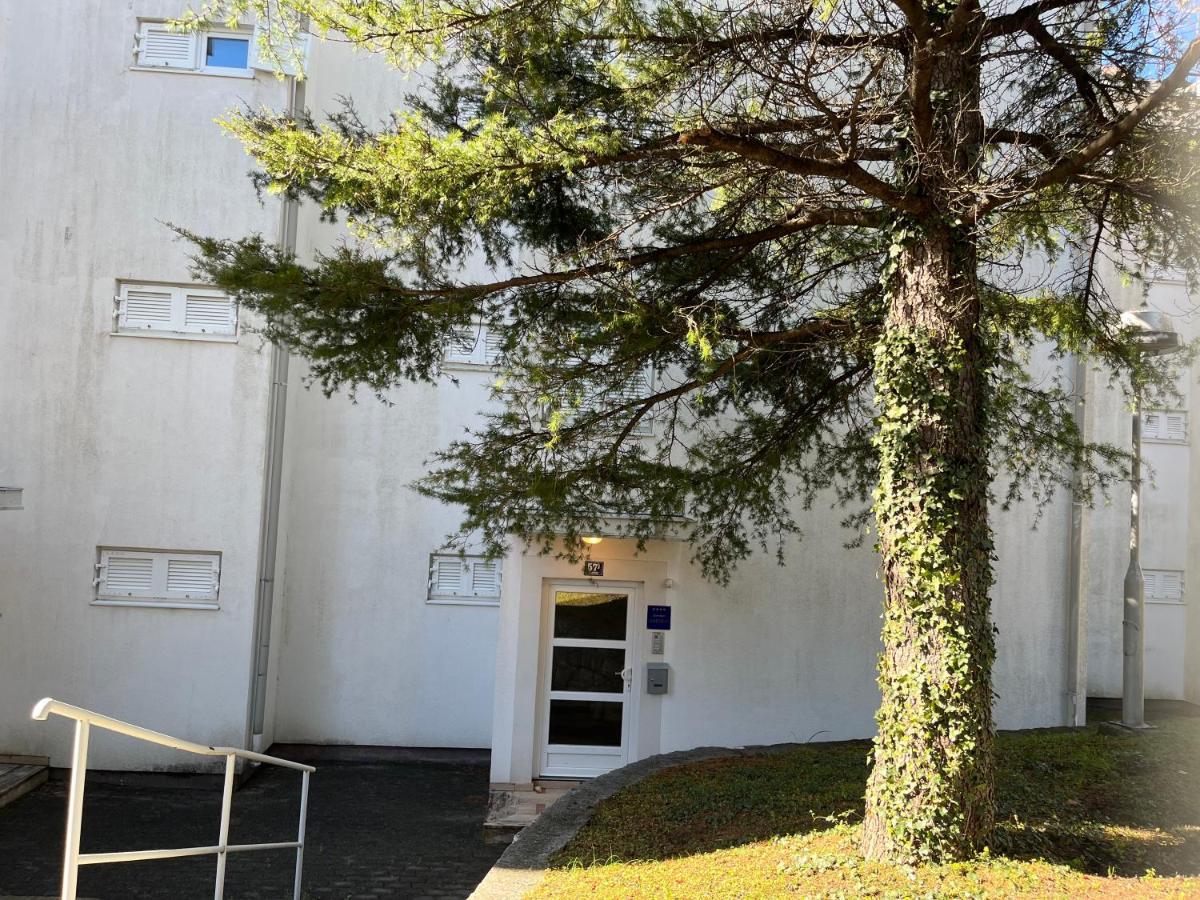 Apartman Maja Selce Εξωτερικό φωτογραφία